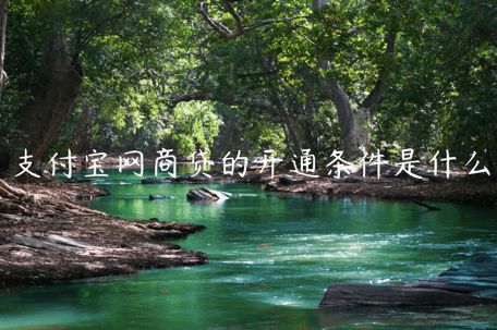 支付寶網(wǎng)商貸的開(kāi)通條件是什么